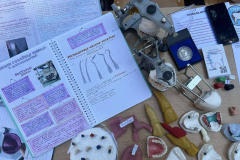 506817612_3974387876149780_7079454786870834865_n