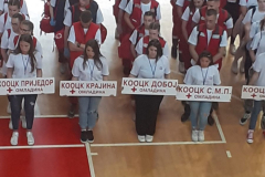 пп1