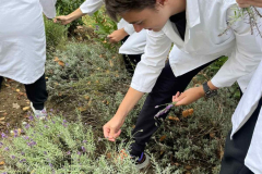 553408138_4071329119788988_8981115577039869750_n