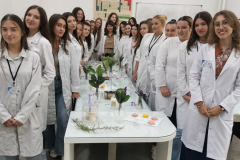 554089494_4071329276455639_2350403464419086357_n